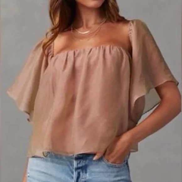 Wishlist Apparel Tops - Wishlist Apparel Off Shoulder Chiffon Metallic Lined Blouse Top Blush Size M
